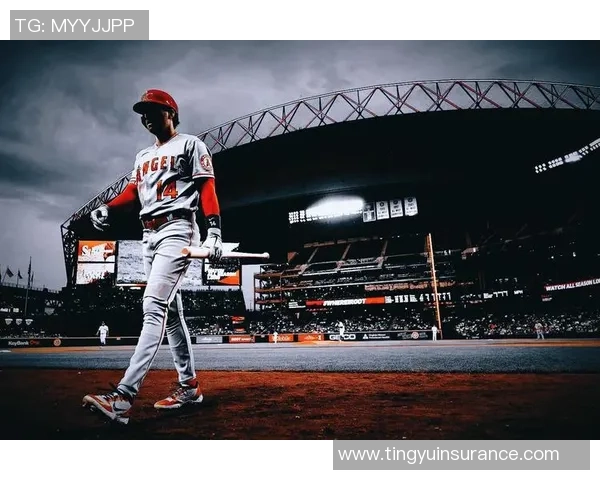 美联与国联的对决MLB赛季精彩纷呈的球队与球员分析